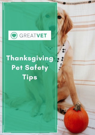 Thanksgiving Pet Safety Tips