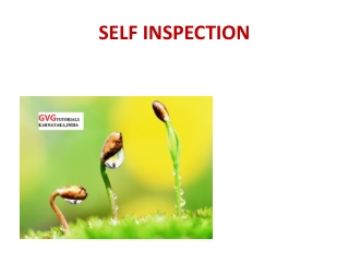 SELF INSPECTION