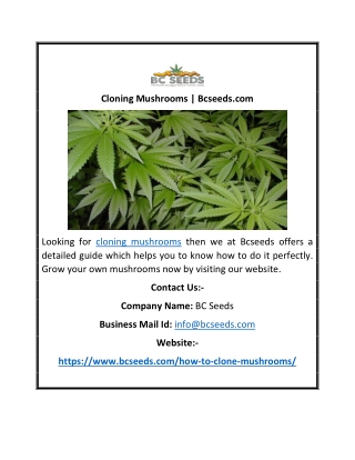Cloning Mushrooms | Bcseeds.com
