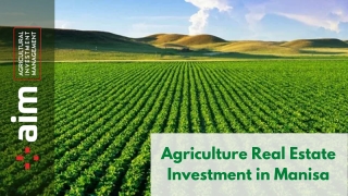 Agriculture Real Estate Investment in Manisa