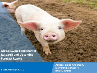 PPT: Swine Feed Market  to Witness Huge Growth during 2021-2026