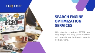 Professional Search Engine Optimization Services | TEQTOP