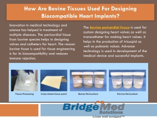 How Are Bovine Tissues Used For Designing Biocompatible Heart Implants?