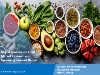Plant-Based Food Market PPT: Demand, Trends and Business Opportunities 2021-26