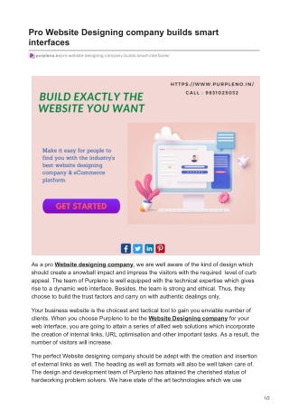 Pro Website Designing company builds smart interfaces