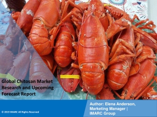 Chitosan Market PPT: Demand, Trends and Business Opportunities 2021-26