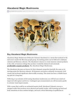 Alacabenzi Magic Mushrooms
