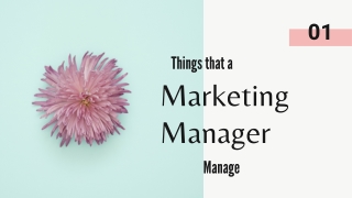 Thing That a Virtual Marketing Manager Manage