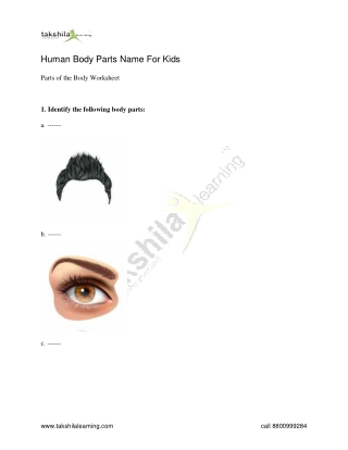 Our body parts worksheet for Nursery class