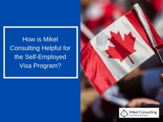 How is Mikel Consulting Helpful for the Self-Employed Visa Program?