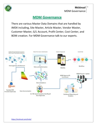 MDM Governance