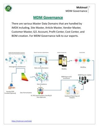 MDM Governance