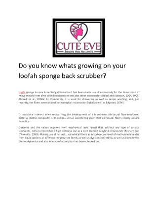 Egyptian Loofah Products Supplier  - Cute Eve