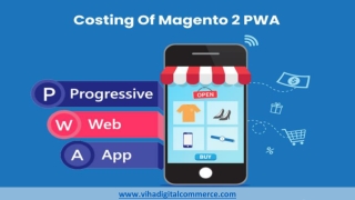 How Much Does Magento PWA Cost You