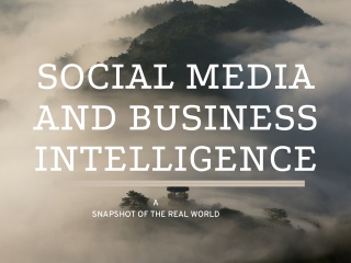 SOCIAL MEDIA AND BUSINESS INTELLIGENCE — A SNAPSHOT OF THE REAL WORLD