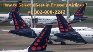 How to Select a Seat in Brussels Airlines _