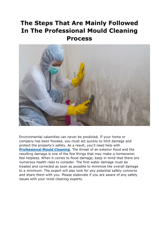 The Steps That Are Mainly Followed In The Professional Mould Cleaning Process-converted