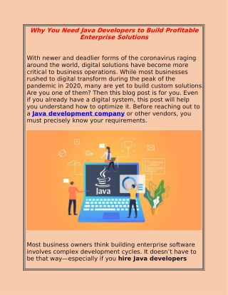 Why You Need Java Developers to Build Profitable Enterprise Solutions