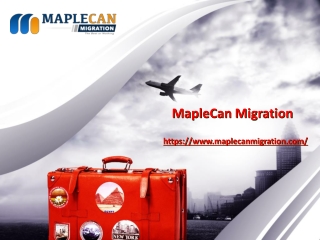 Everything about the South African Immigration_Maple-Can-Migration