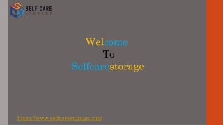 Dubai Storage companies