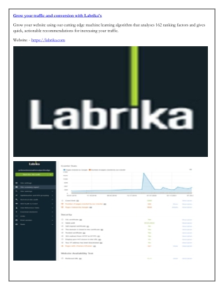 Grow your traffic and conversion with Labrika's