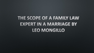 The scope of a family law expert in a marriage by Leo Mongillo