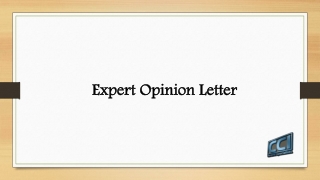 Expert Opinion Letter
