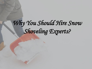 Why You Should Hire Snow Shoveling Experts