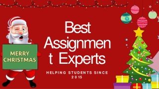 Best Assignment Experts (2)-converted