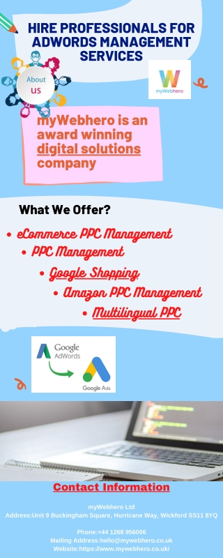 Hire Professionals for Adwords management services