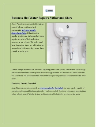 Business Hot Water Repairs Sutherland Shire