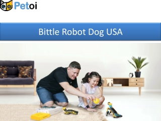 Bittle Robot Dog USA