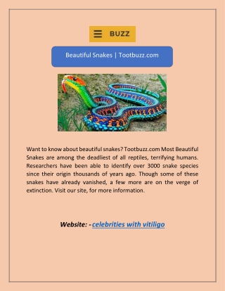 Beautiful Snakes | Tootbuzz.com