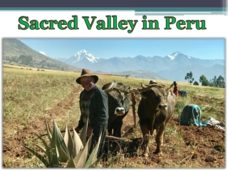 Sacred Valley in Peru