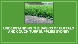 Understanding the Basics of Buffalo and Couch Turf Supplies Sydney