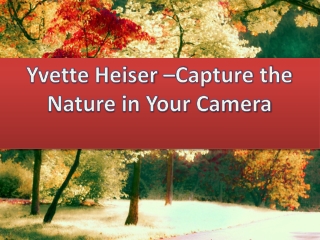 Yvette Heiser –Capture the Nature in Your Camera