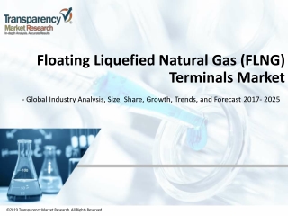 Floating Liquefied Natural Gas (FLNG) Terminals Market