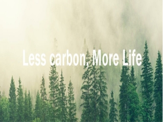 Carbon offset