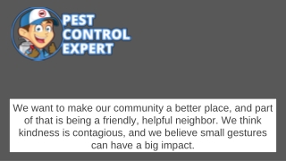 Pest Exterminator - Pest Control Expert