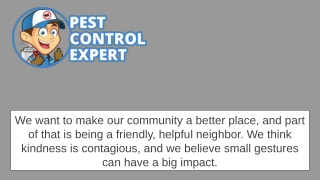 Reliable Pest Management Services - Pest Control Expert