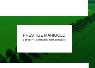 Prestige Marigold at off NH 44, Bettenahalli, North Bangalore Brochure