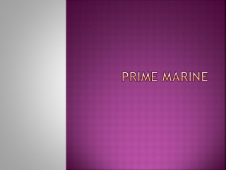 PRIME Marine