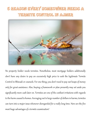 5 REASON EVERY HOMEOWNER NEEDS A TERMITE CONTROL IN AJMER
