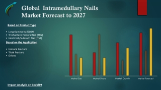 Global Intramedullary Nails Market – Industry Trends and Forecast to 2027