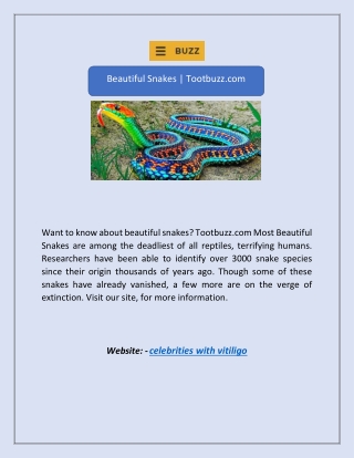Beautiful Snakes | Tootbuzz.com