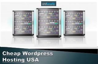 Cheap Wordpress Hosting USA