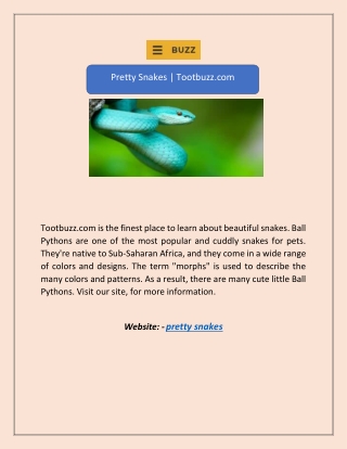 Pretty Snakes | Tootbuzz.com