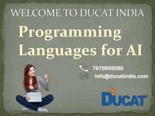 Programming Languages for AI