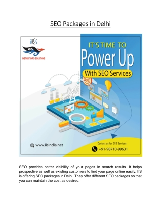 SEO Packages in Delhi