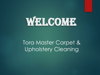 Find a Professional Sofa Cleaner in Clermiston